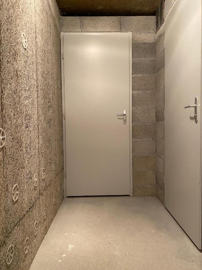 Modern 3 Bed Penthouse Apartment, Balcony & Garage, Close To Village & Ski Bus 萨莫安斯 外观 照片